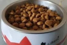 Test Cat Food 1